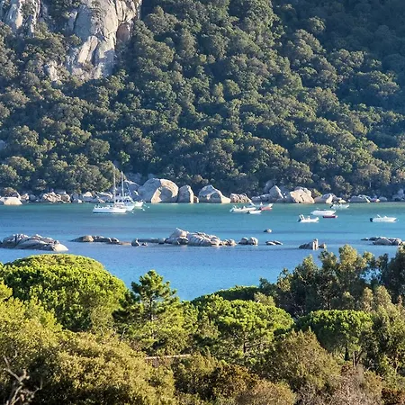 Locations De Giulia Porto-Vecchio (Corsica)